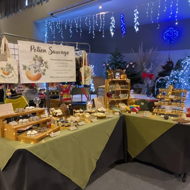 Aujourd'hui nous sommes au marché de Noël de Gannat ! 🎄🎁✨ #potionsauvageevent
